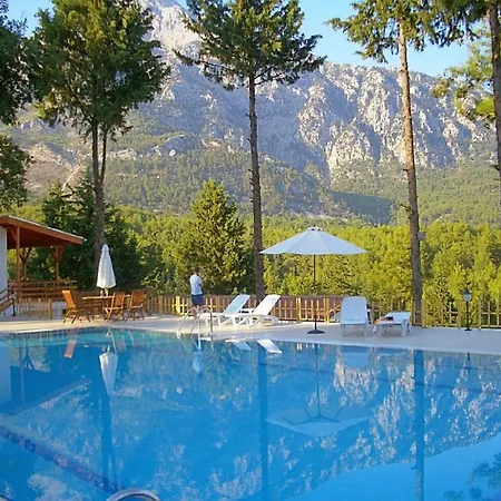 Holiday Villas With Mountain Forest And Sea View 빌라