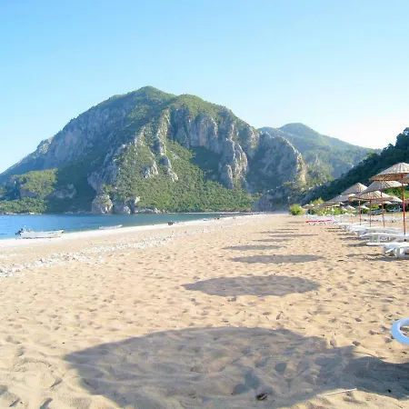 Holiday Villas With Mountain Forest And Sea View 빌라
