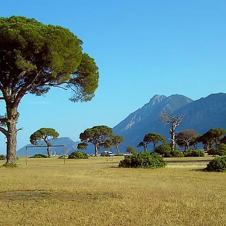 Holiday Villas With Mountain Forest And Sea View 빌라 *
