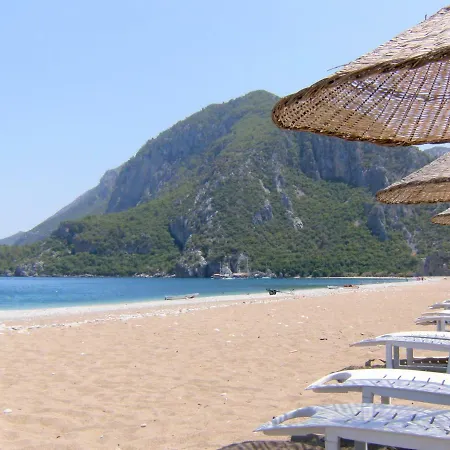 Holiday Villas With Mountain Forest And Sea View